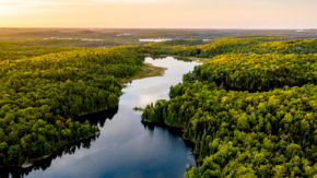 Kanada Ontario Wald Seen Luftbild iStock Paul Hartley
